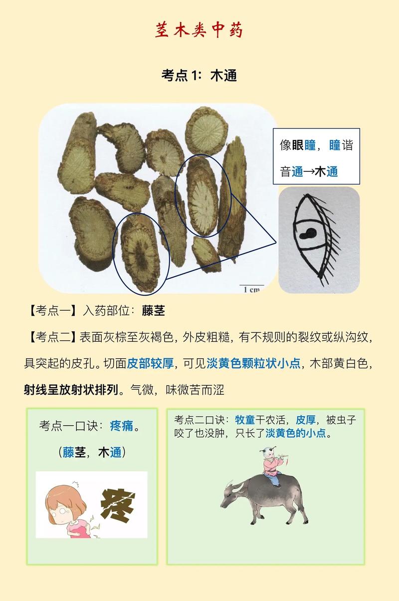 菩提印度代购希爱力是真的吗？避坑指南与正品鉴别全攻略